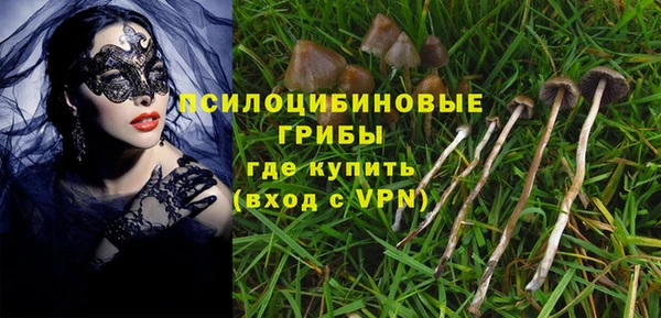стафф Бронницы