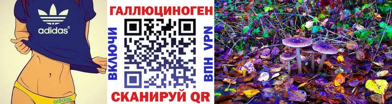 Купить  Льгов  Псилоцибиновые грибы Psilocybe 